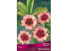 �������� ��������� �������� ���� 90,0