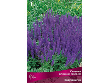 ������� ���������(������) ����������� 107,0