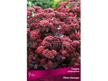 ����� ��������� ��� ������ 126,0