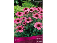 �������� ��������� �� ���� 138,0