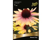 �������� ��������� ������ ���� 265,0