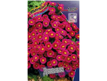 33,56���.����� ������ (�������� ���� �� 5 ��., ����������� ����� 1��.).jpg