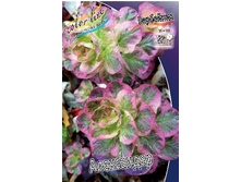 40,47���.��������� ���������� (�������� ���� �� 3 ��., ����������� ����� 1��.).jpg