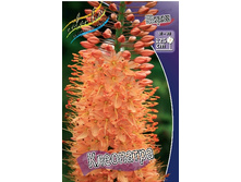 61,1���.����� ��������� (�������� ���� �� 2 ��., ����������� ����� 1��.).jpg