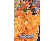 61,1���.����� �������� (�������� ���� �� 2 ��., ����������� ����� 1��.).jpg