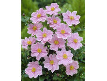 65,13���.������� ���� ������ (�������� ���� �� 3 ��., ����������� ����� 1��.).jpg