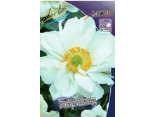 65,13���.������� ��������� (�������� ���� �� 3 ��., ����������� ����� 1��.).jpg