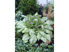 65,13���.�������� ���������� (�������� ���� �� 3 ��., ����������� ����� 1��.).jpg