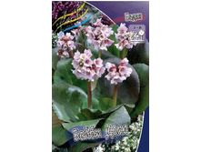 67,13���.����� ����� ���� (�������� ���� �� 3 ��., ����������� ����� 1��.).jpg