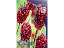 67,13���.���������� ����� (�������� ���� �� 3 ��., ����������� ����� 1��.).jpg