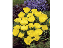 77���.������� ������������ (�������� ���� �� 3 ��., ����������� ����� 1��.).jpg