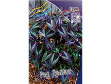 81,45���.����� ��� ������ (�������� ���� �� 2 ��., ����������� ����� 1��.).jpg