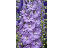 88,35���.���������� ������� ������ (�������� ���� �� 2 ��., ����������� ����� 1��.).jpg