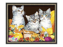 PO-G**033 ���*���� ���*�, 600�.