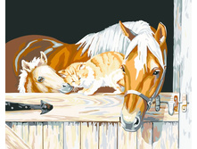 PO-G**155 ������, 600�.