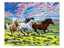 PO-G**205 �������, 600�.