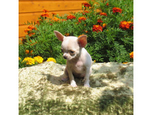 ����� 1.jpg