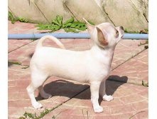 ����� 2.jpg