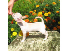 ����� 3.jpg