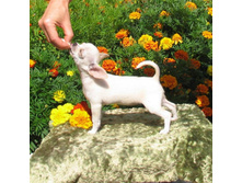 ����� 4.jpg