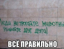 78076349-hd05gnudl04.jpg