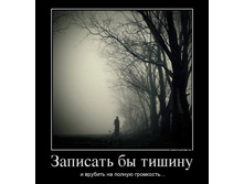 44103698_zapisat-byi-tishinu.jpg