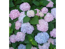 120���. ��������� �������������� �����-���.jpg