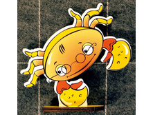 ���� ������ 116�.jpg