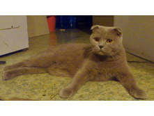 ����� 2.JPG