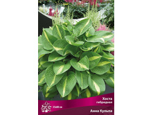 ����� ��������� ���� ������ 174,0