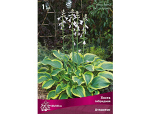 ����� ��������� �������� 90,0