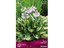 ����� ��������� ������� 120,0