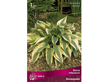 ����� ��������� ��������� 90,0