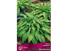 ����� ��������� ���� ������� 76,0