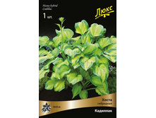 ����� ��������� �������� 161,0