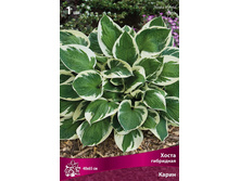 ����� ��������� ����� 109,0