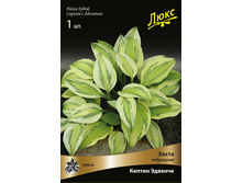 ����� ��������� ������ ������� 174,0