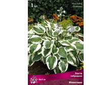 ����� ��������� �������� 109,0