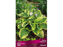 ����� ��������� ������� 109,0