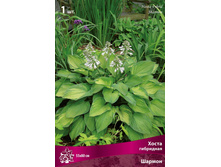 ����� ��������� ������ 79,0