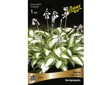 ����� ��������� ���������� 174,0