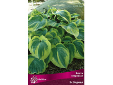 ����� ��������� �� ������ 109,0