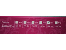 ������� �����.JPG