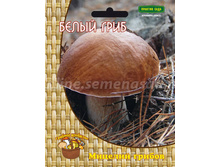 ����� ���� 60�� 64�.jpg