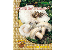 ������ ��������� ��� ����� ������ 60�� 64�.jpg