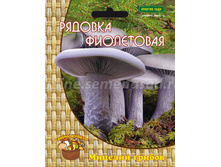 ������� ���������� 60�� 64�.jpg