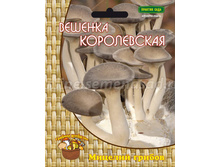 ������� ����������� 12�� 56�.jpg