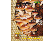 ������� 12�� 56�.jpg