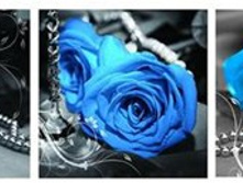 ������� ����