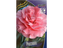 48,85���. �������� ������ (�������� ���� �� 2 ��., ����������� ����� 1��.).jpg.jpg